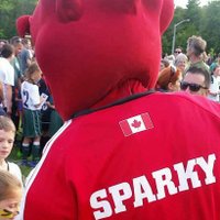 SPARKY(@SparkyFURY) 's Twitter Profileg