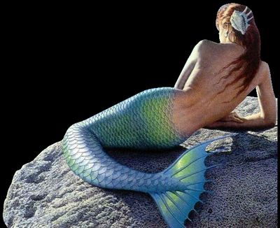 TaratheMermaid's profile picture. 