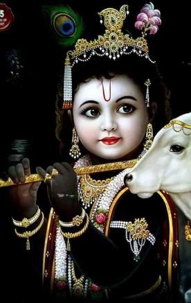 rakeshy64924741's profile picture. 