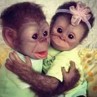save me (@7aec6ddca6ec4a2) 's Twitter Profile