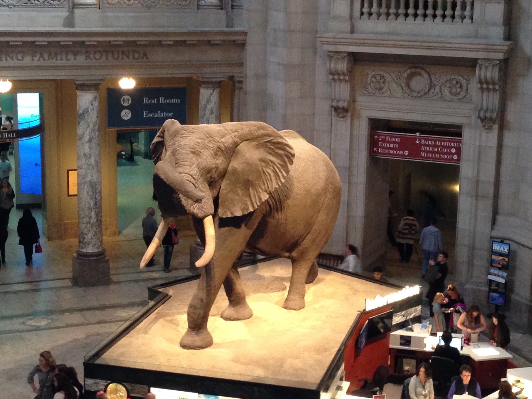 HSeltzer_EDS's profile picture. Mother, teacher, beach bum,  lover of all things Disney!