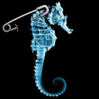 Kelly 🏳️‍🌈 (@fringeship) 's Twitter Profile Photo