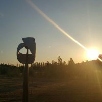 MONICA PASCUAL (@mpascualfabra) 's Twitter Profile