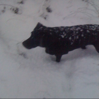 JohnnyLank's profile picture. 