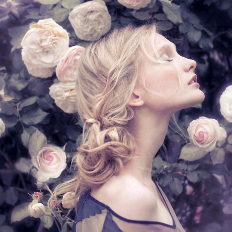 viv_ros's profile picture. Perfume roses