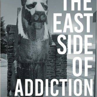 Author, Visionary for RCA Westminster, Recovery Advocate, Founder Spring Hill Recovery Center, Treatment Operations Consultant