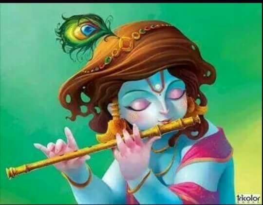 soniagoel9's profile picture. 