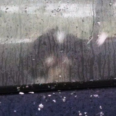 BubbaCapecod's profile picture. 