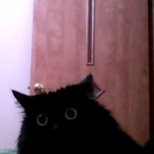 HELLKitteN3's profile picture. strange :Р