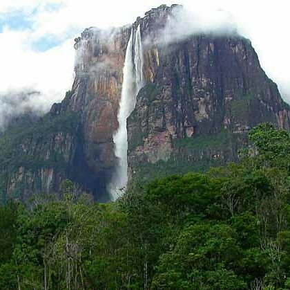 LeonardoPiero5's profile picture. 