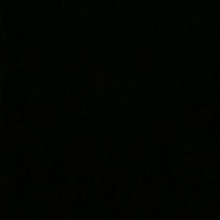 The Dignity (@thedignity0) 's Twitter Profile