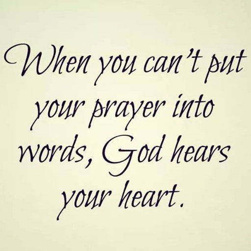 babyducks3's profile picture. 