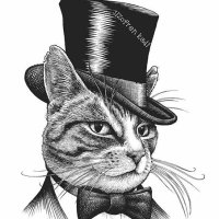 Şizofren Kedi (@sizofren_kedi) 's Twitter Profile Photo