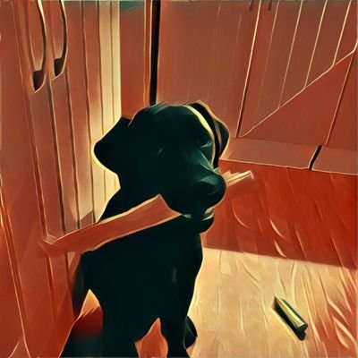 Jakt, fiske, datorer, skogen, musik och hundar är några av mina intressen.