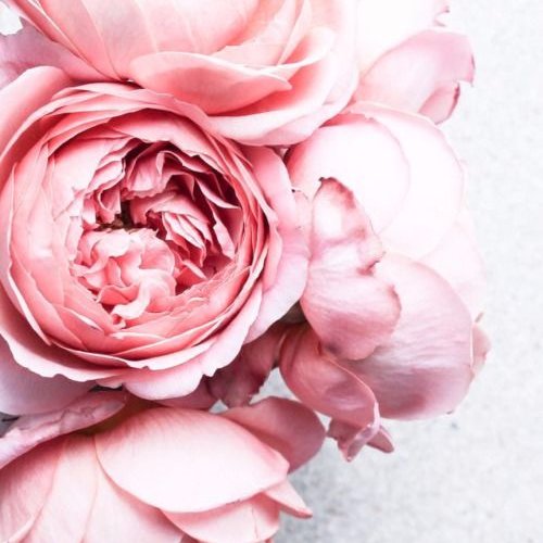 LoveLeeCeleb's profile picture. Wedding & Special Events Planner In & Around Toronto. 
Here to make your visions come true
isabel_lee112@hotmail.com