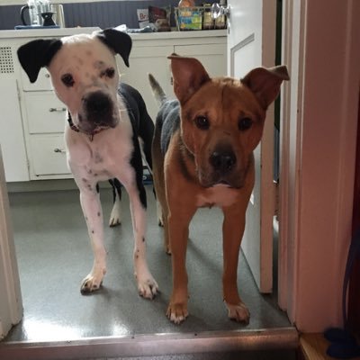 ruthannarbor's profile picture. Came to Ann Arbor to go to the UMich and never left.