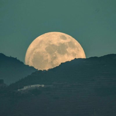 Transme99's profile picture. ~ اغسطس آب ~