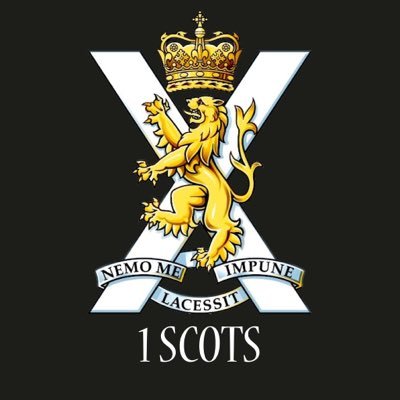 Official Twitter account of The Royal Scots Borderers (1 SCOTS), a Specialised Infantry Battalion persistently engaged with our Partner Forces in West Africa.