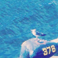 satomi (@seaside_air) 's Twitter Profile Photo satomi (@seaside_air) 's Twitter Profile Photo