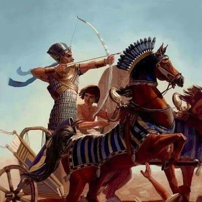 ‏تحيا 🇪🇬 مصر