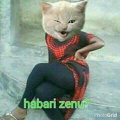 marcy848478's profile picture. 