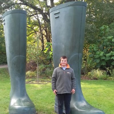 LudovicROUILLE1's profile picture. 