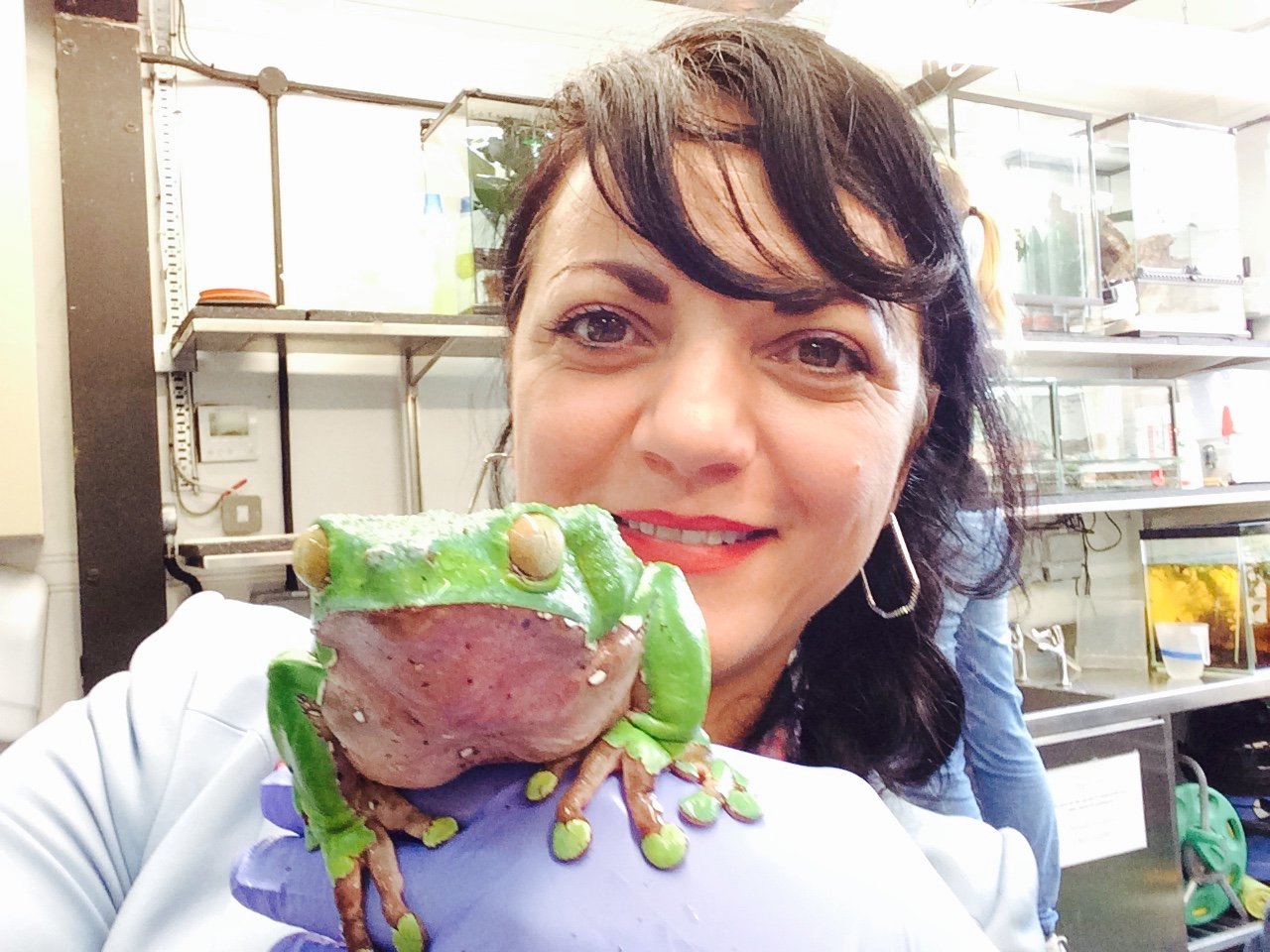 I am a passionate innovative conservationist,educator,researcher and communicator with a particular interested in amphibians and in love with the natural world