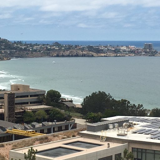 Scholar, Lawyer, Investor, Director, Volunteer, NuFund, Supporter Torrey Pines Conservancy, UCSD, many schools and colleges