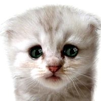FigureItOut (@figureitout1234) 's Twitter Profile