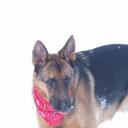 Dwayne Lowe - @lowe275 - Twitter