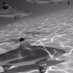 SharkSearch IndoPac (@sharksindopac) Twitter profile photo SharkSearch IndoPac (@sharksindopac) Twitter profile photo