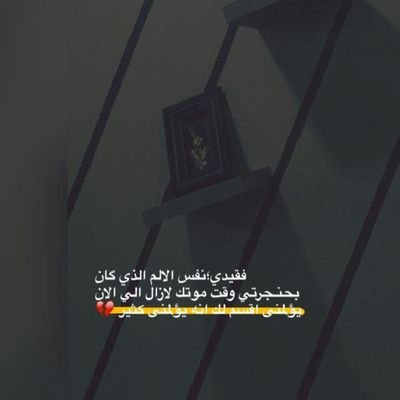 ‏ ‏-اللهم أسقِى نااصر من غيثك مايُزهر على قبره جنائن وردّ. ‏✨