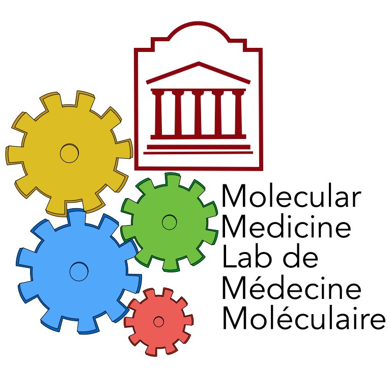The Molecular Medicine Lab, led by Dr. Adam Shuhendler, is developing a diverse molecular toolbox of innovative sensing solutions to advance medicine.