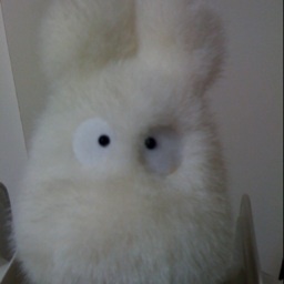 dolphin0202's profile picture. みなさん、よろしく！