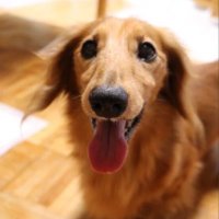 きぬちゃん🎭🇯🇵💙❤️ (@kinuchanchan) 's Twitter Profile Photo きぬちゃん🎭🇯🇵💙❤️ (@kinuchanchan) 's Twitter Profile Photo