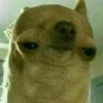 Majestic_Puppy's profile picture. if u get triggered from this page its ur own fault