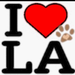 Living on the river~Animal lover ~Love my doggies 
 ~ Rams/Dodgers fan~ Resistance ~BLM~ SupportVets~Democrat