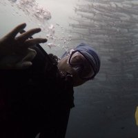 webjck (@webjck2016) Twitter profile photo