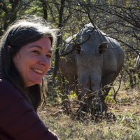 Katy Ransome (@katyransomefcdo) 's Twitter Profile Photo