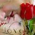 Mohammed (@mohamme14834691) Twitter profile photo Mohammed (@mohamme14834691) Twitter profile photo