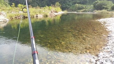 0000polypterus's profile picture. 개미가 살아가는 세상