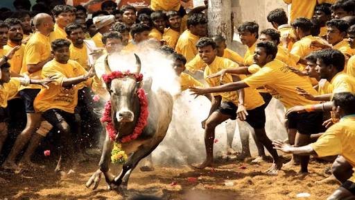 மெய்யர்さんのプロフィール画像