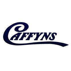 Caffyns is one of the leading car dealerships in the South East of England with 9 franchises across Sussex & Kent.