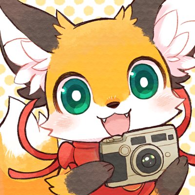 キツネ写真館 きつね飼養中 Fox Info Net Twitter