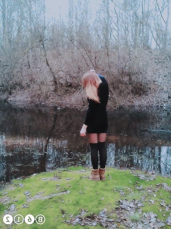 SteveDeMay's profile picture. 