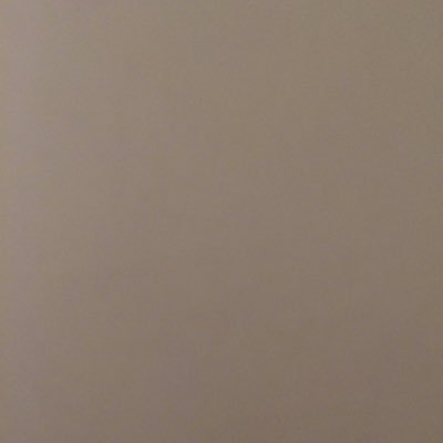 alex_gilardi's profile picture. 