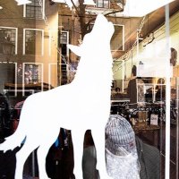 Ray Brandstore (@raybrandstore) 's Twitter Profile