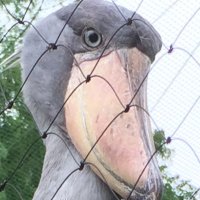 ExportControl (@export_control) 's Twitter Profile