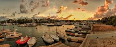 WeWillPrevailSM's profile picture. 