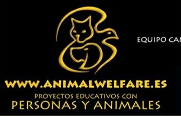 Animal Welfare - Proyectos educativos con animales
#Gestionemocionalcanina  #perrosfelices #adiestramientoenpositivo
Instagram: https://t.co/meFDiSmec2